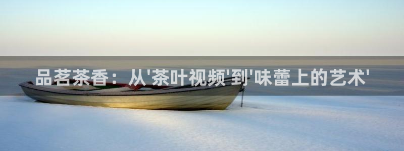 金金年会