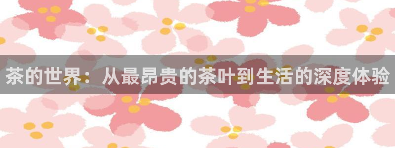 今年会送彩金28
