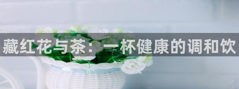 金年会金年华