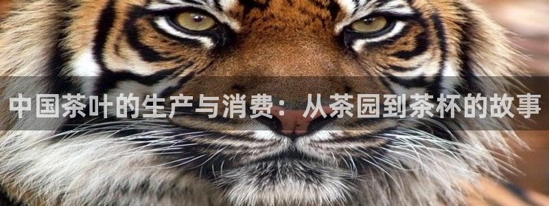 金年会com