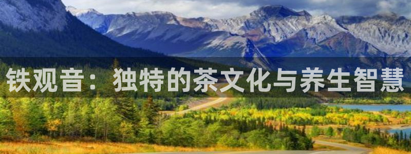 金年会今年会