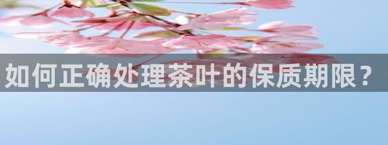 金年会电子