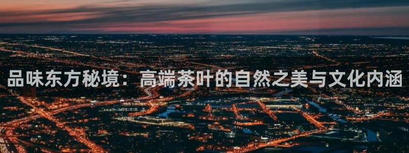 金诺利年会