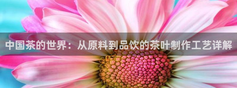 金年会彩票下载app