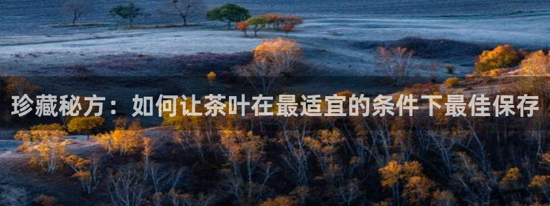 金年会最新官网