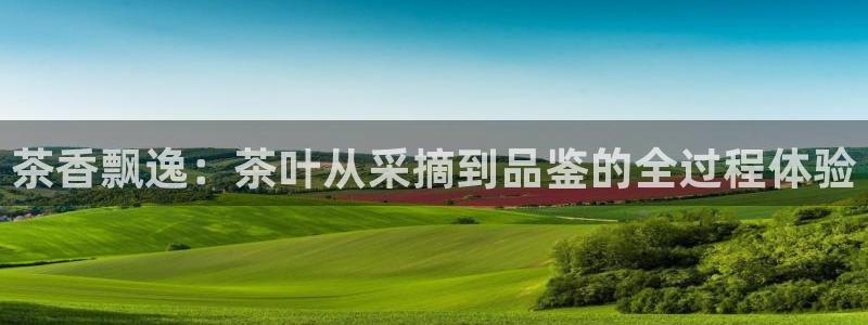 金年会赞助曼联