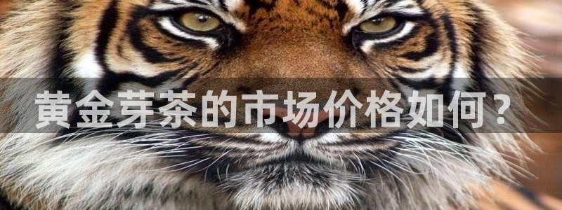 金年会官方入口