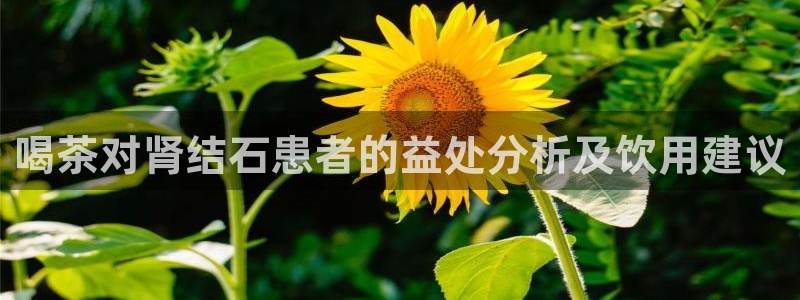 金年会体育
