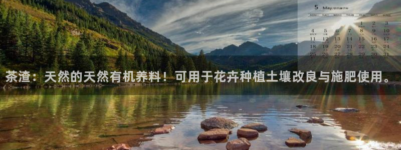 金年会体育平台