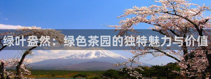 金年会app桌面