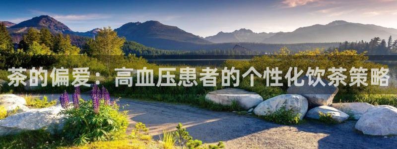 金年会棋牌