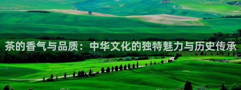 金年会体育和金年会