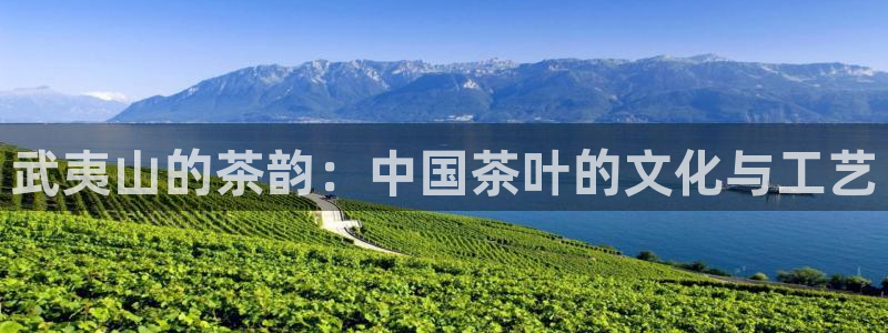金年会官网登入