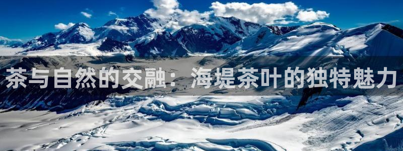 金年会体育平台官网