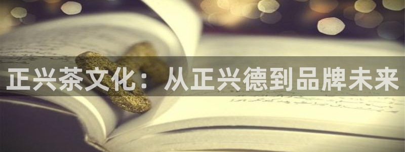 年会金句心得