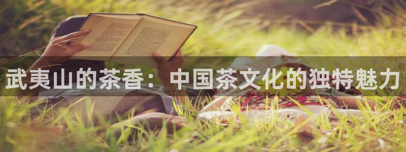金年会下载