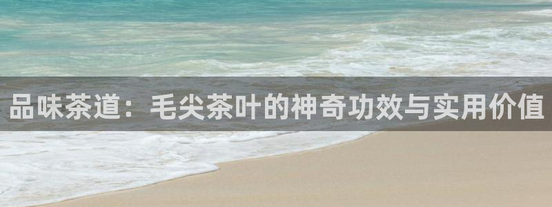 金年会网址