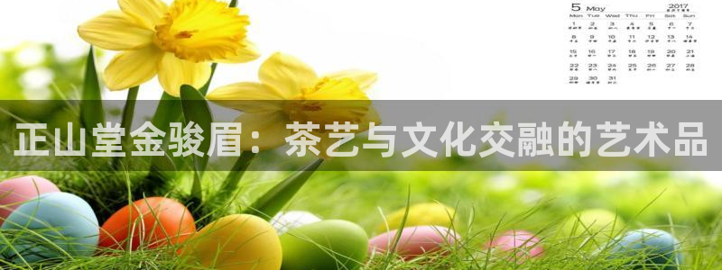 金 金年会