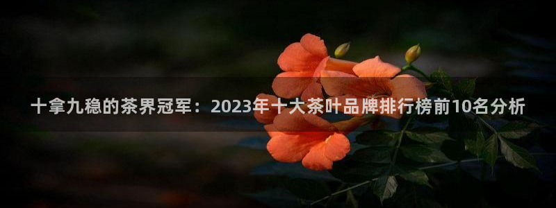 金年会网官网新版