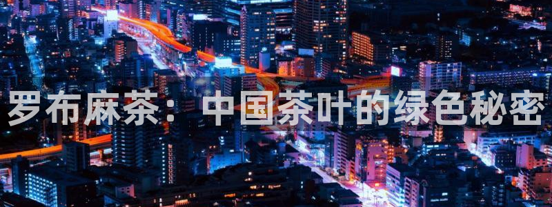 金年会 1080P