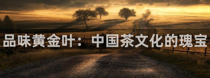 金年会官网地址