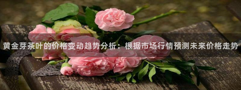 金年会平台游戏