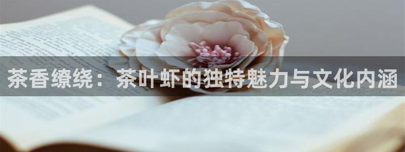 金年会网页