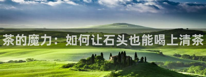 金年会官网app