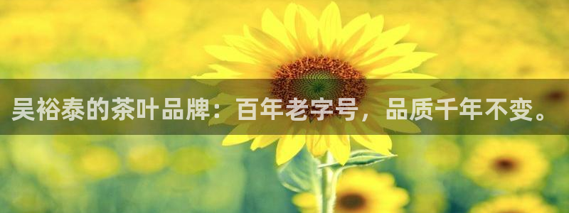 金年会app在线