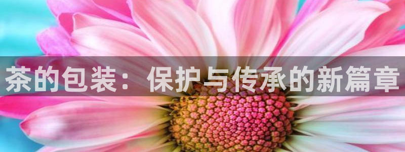 金年会彩金