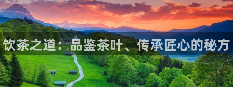 金年会网站
