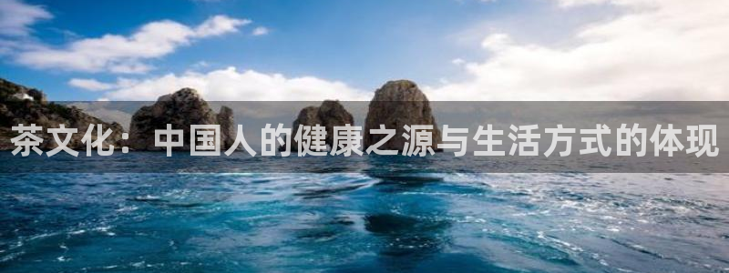金年会最新官网
