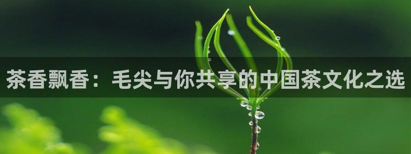金年会官网app下载