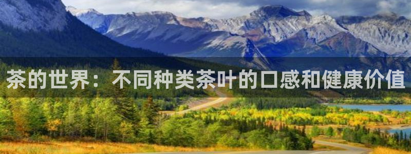金年会体育在线入口