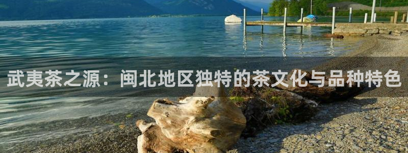 金年会体育官方网站