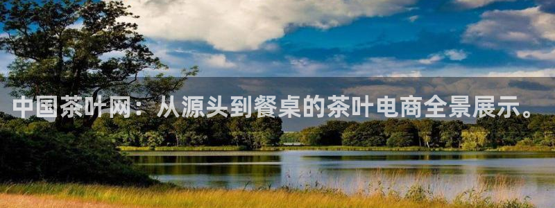 金年会最新登录