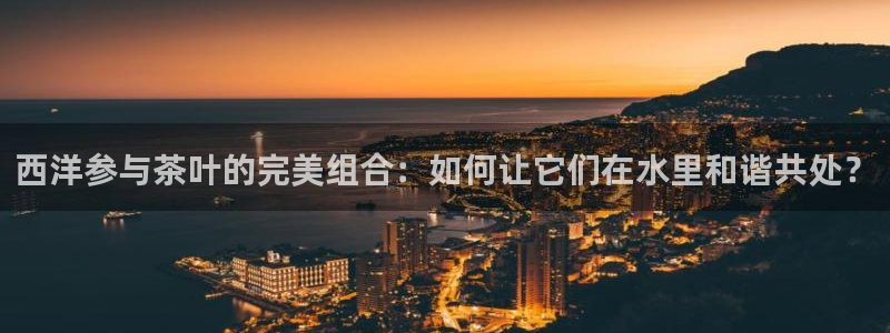 金年会娱乐提现