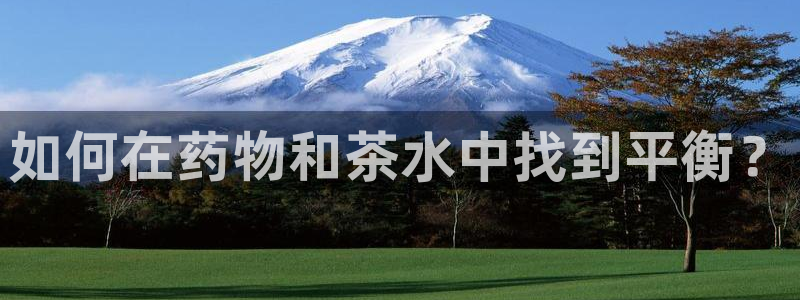 金吉年会