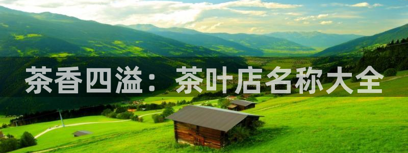 宝金年会
