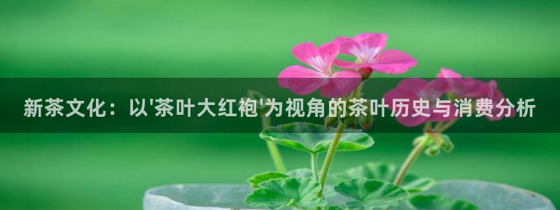 金年会彩票网址下载
