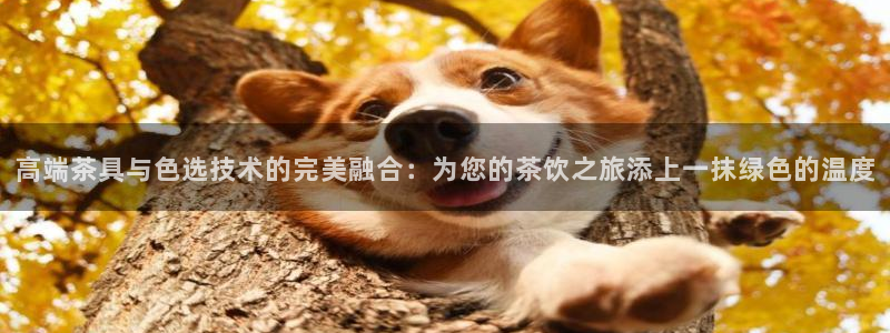 金年会金字招牌诚信至上