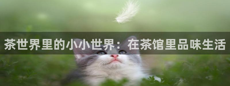 澳门娱乐金年会