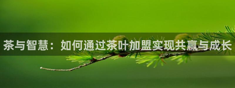 金年会菲律宾