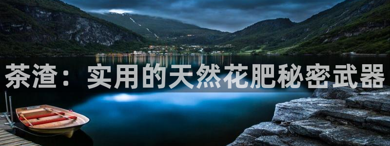 金年会开户