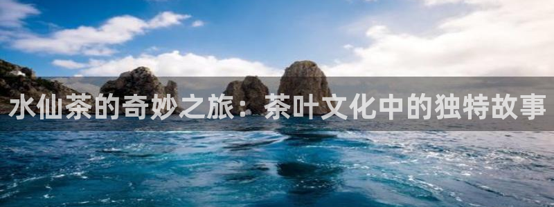 金年会体育官方网站