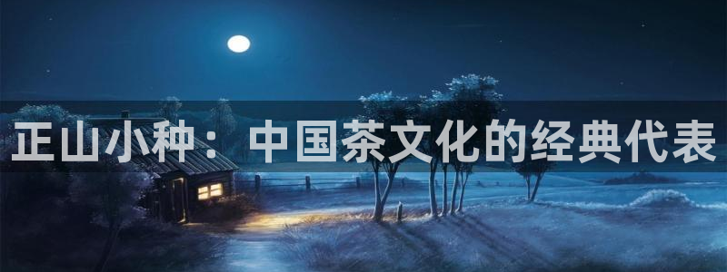 金年会电子游戏