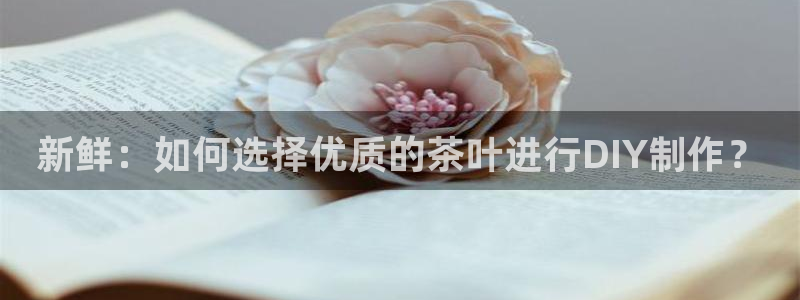 金年会是啥
