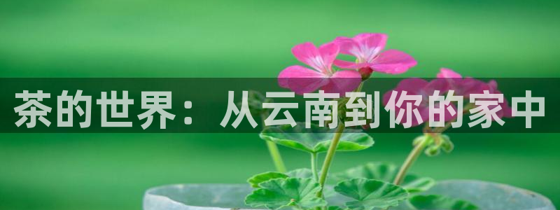 金年会体育平台官网