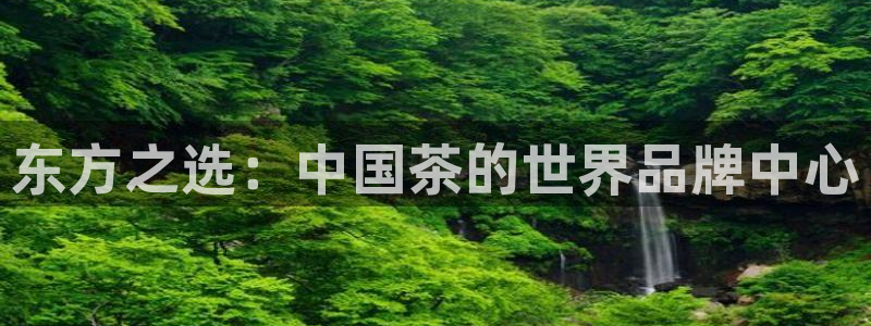 金年会金年会