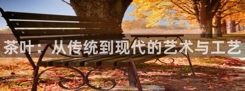 金年会是啥